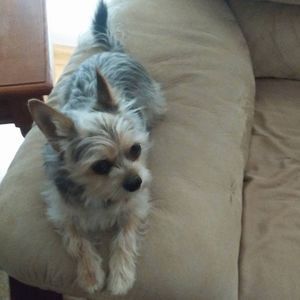 Meet your Posher, Cindy